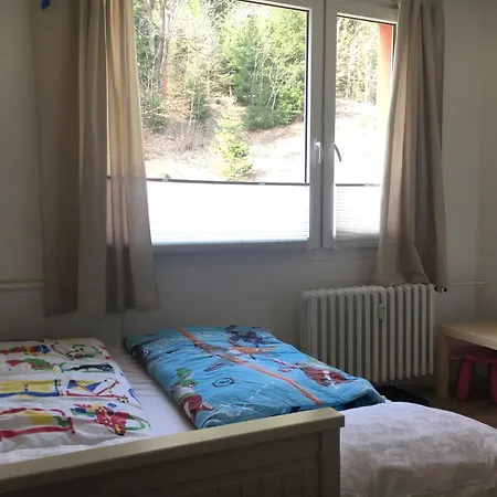 Na Tanvaldskem Spicaku * Jiretin pod Bukovou