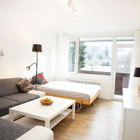 Na Tanvaldskem Spicaku Apartment Jiretin pod Bukovou